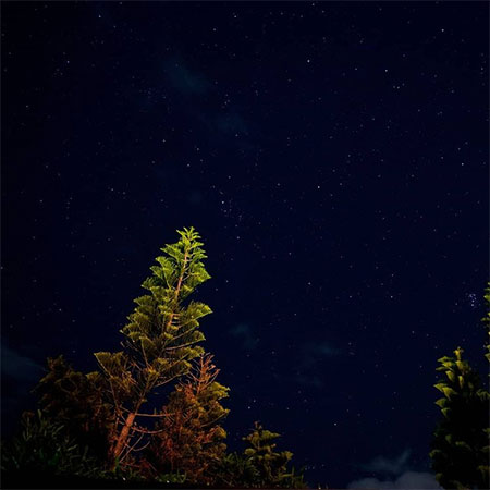 دانلود آهنگ دلبر کجا میروی علی اسدیان